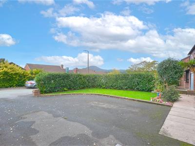 Picture 24